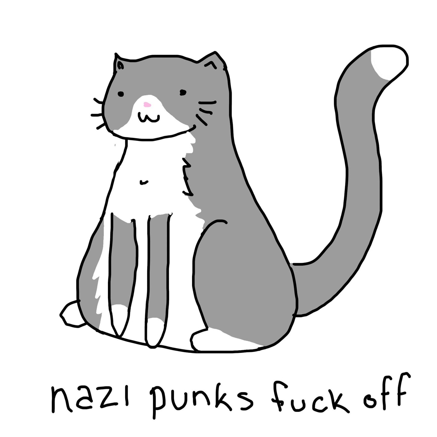 No Nazi Punk Cat Meme T-Shirt, Political Graphic Tee