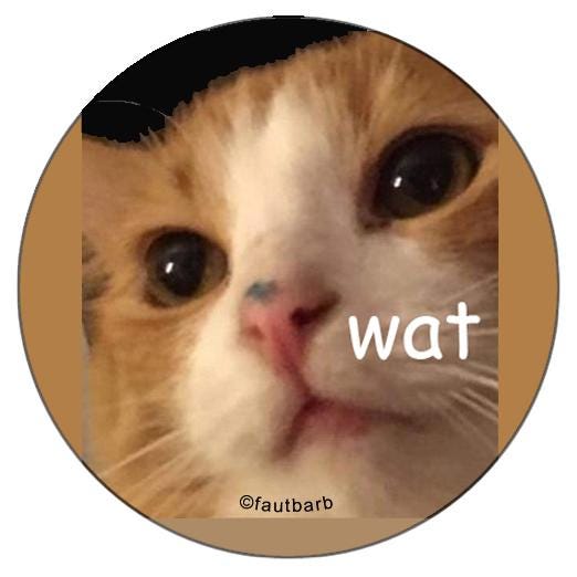 Wat Dumb Cat 1.25" Button