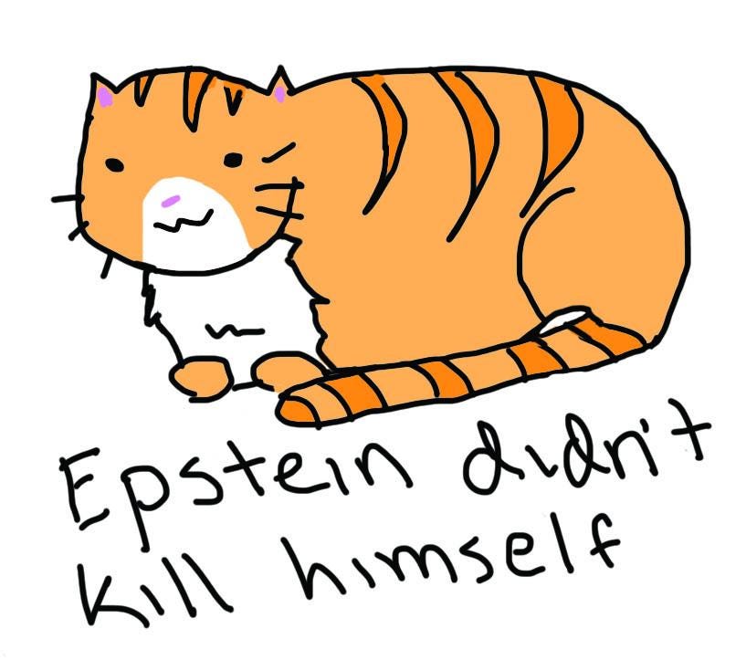 Epstein Didn't Kill Himself Novelty Mug