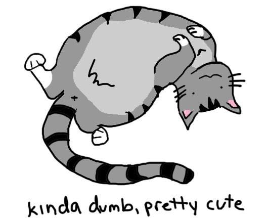 Cat Acrylic Charm (1.5 inch) – Pretty & Playful