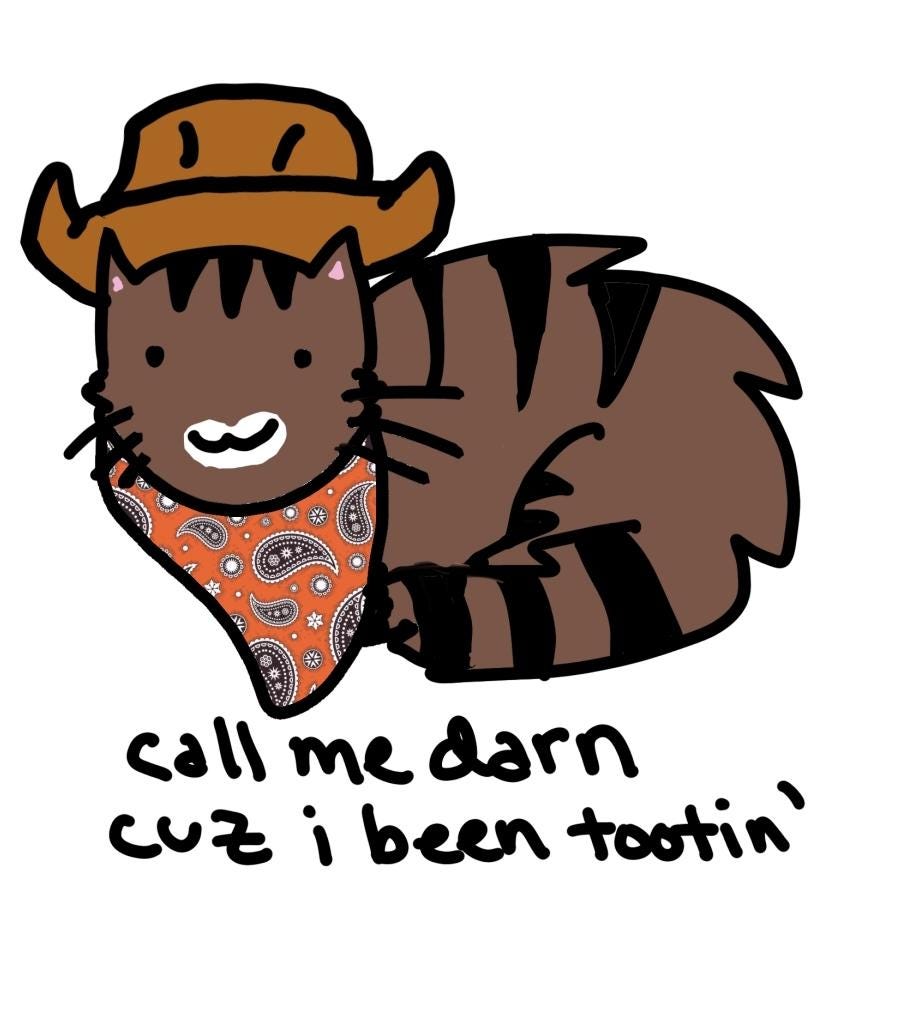 Call Me Darn Cuz I've Been Tootin Cowboy Cat Meme Vinyl Die-Cut Sticker