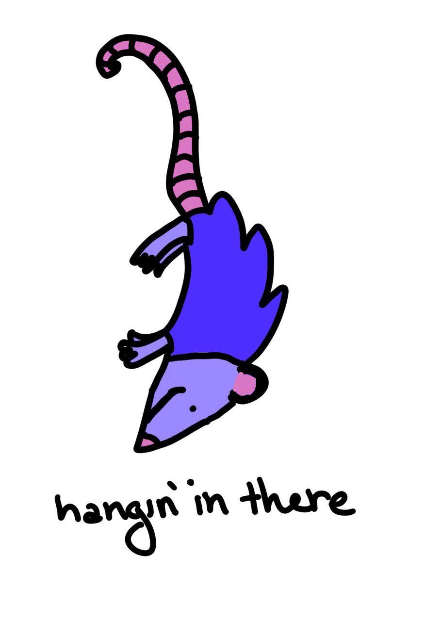 Hanging In There Possum Meme Vinyl Die-Cut Sticker