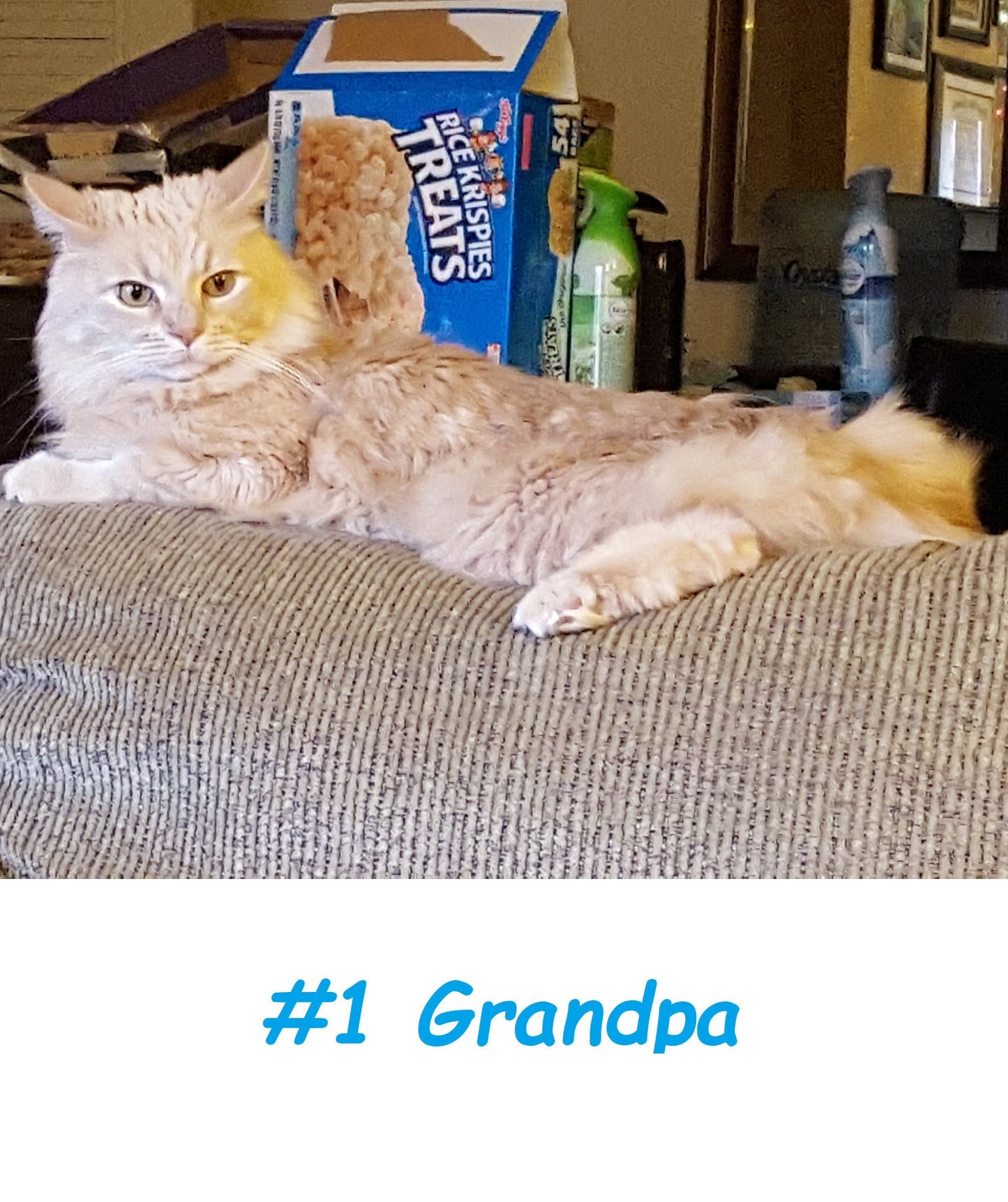 Best Grandpa Cat Novelty Ironic Mug