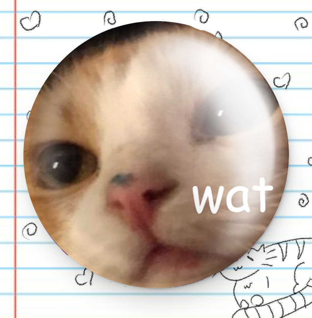 Wat Dumb Cat 1.25" Button