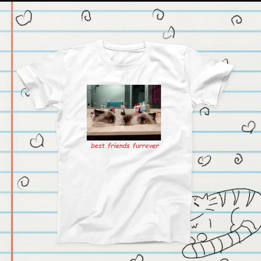 Best Friends Furrever Cat Meme Novelty T-Shirt