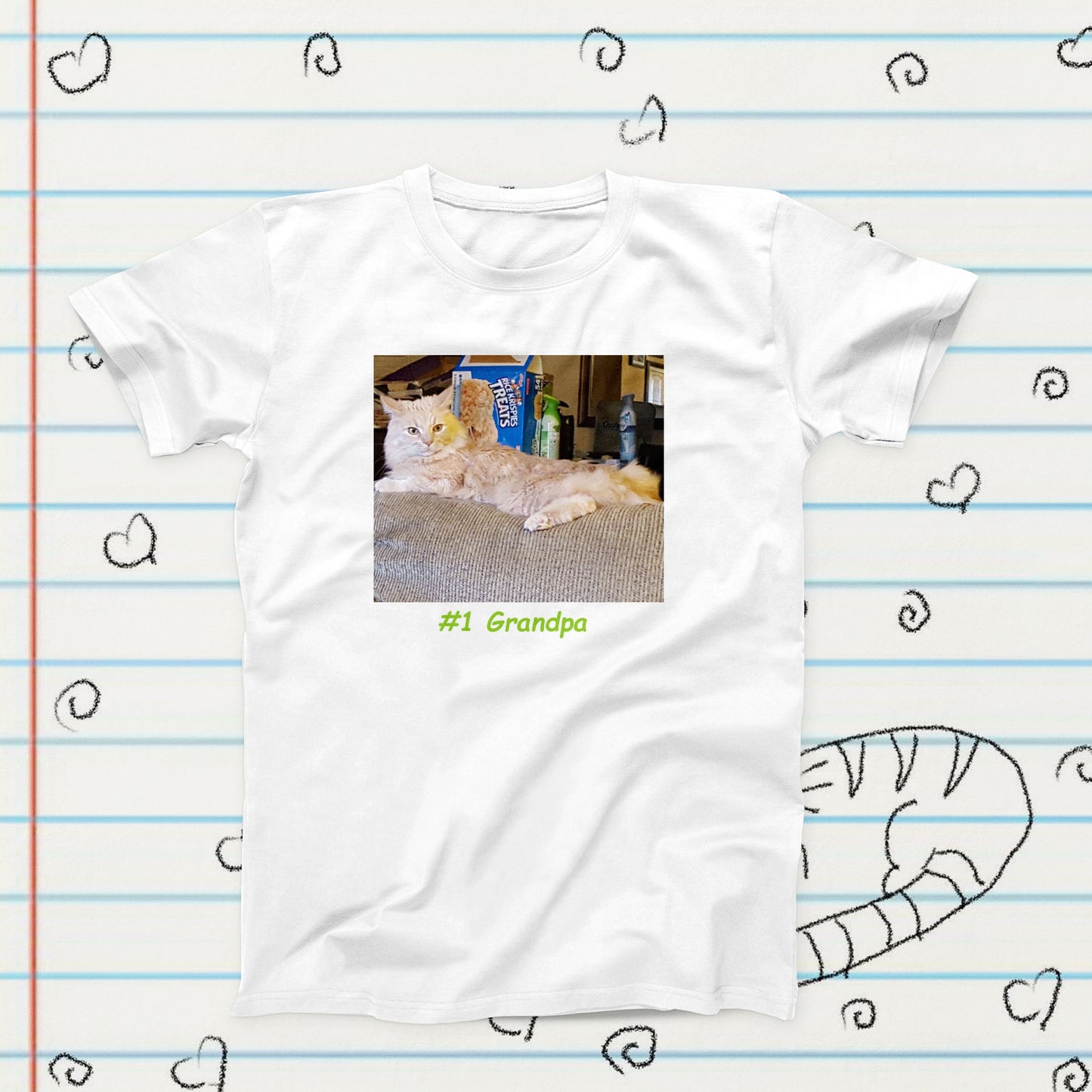 Number One Grandpa Cat Meme Novelty T-Shirt