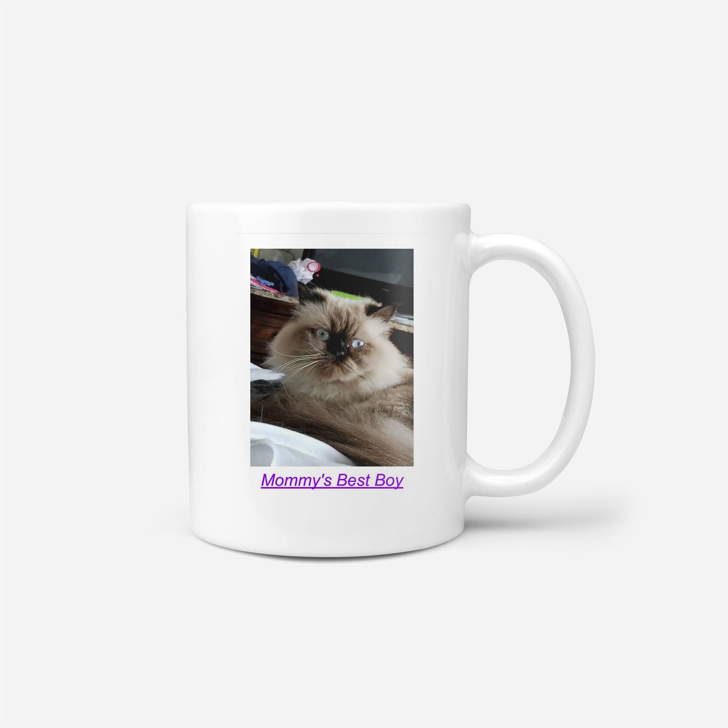 Mommy's Boy Cat Mug - Ironic Chi-Chi Novelty Gift