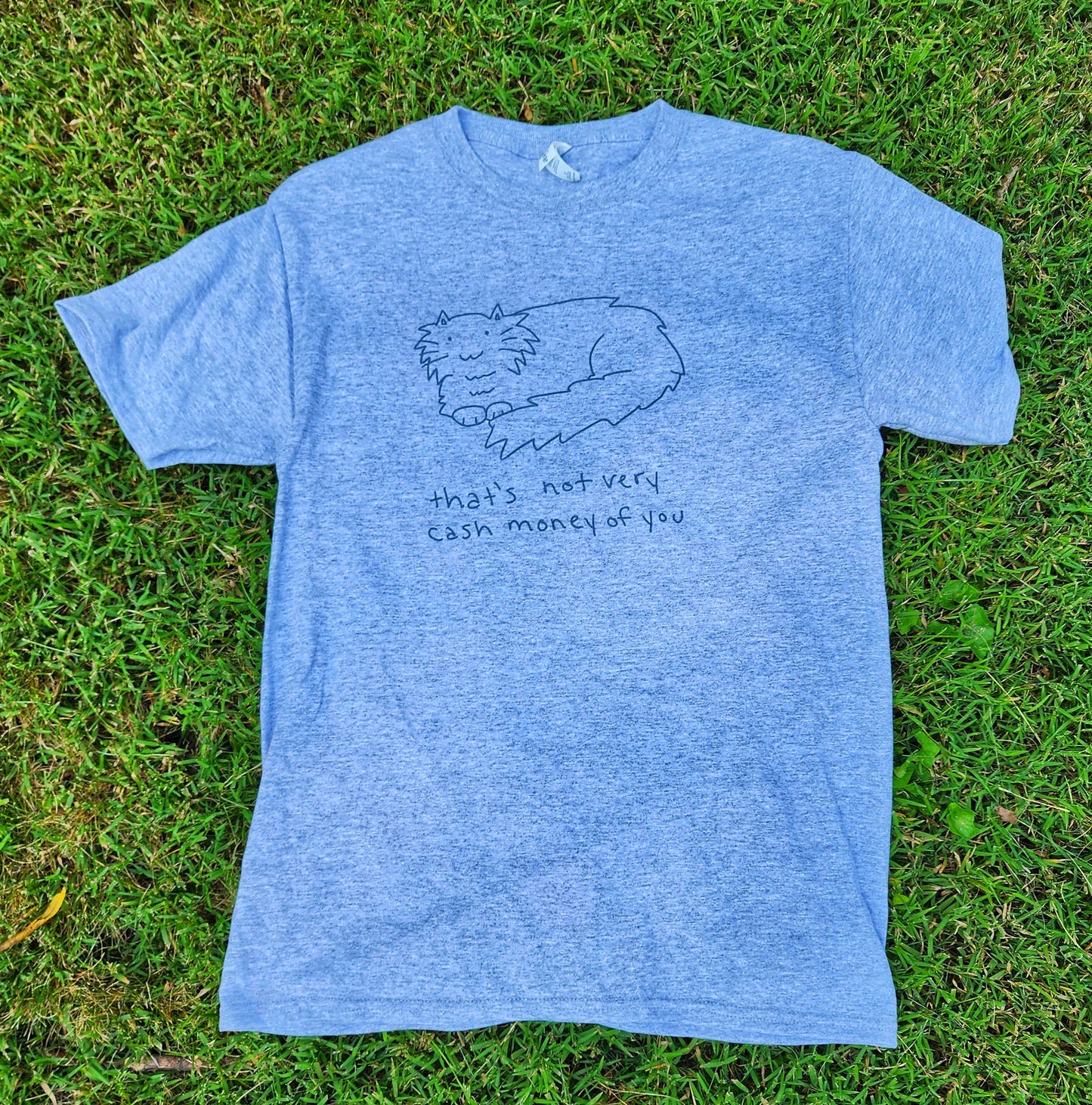 Funny Cat Meme T-Shirt: Not Very Cash Money, Gray Sublimation Print