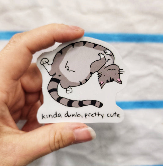 Cat Meme Vinyl Sticker – Kinda Dumb, Pretty Cute