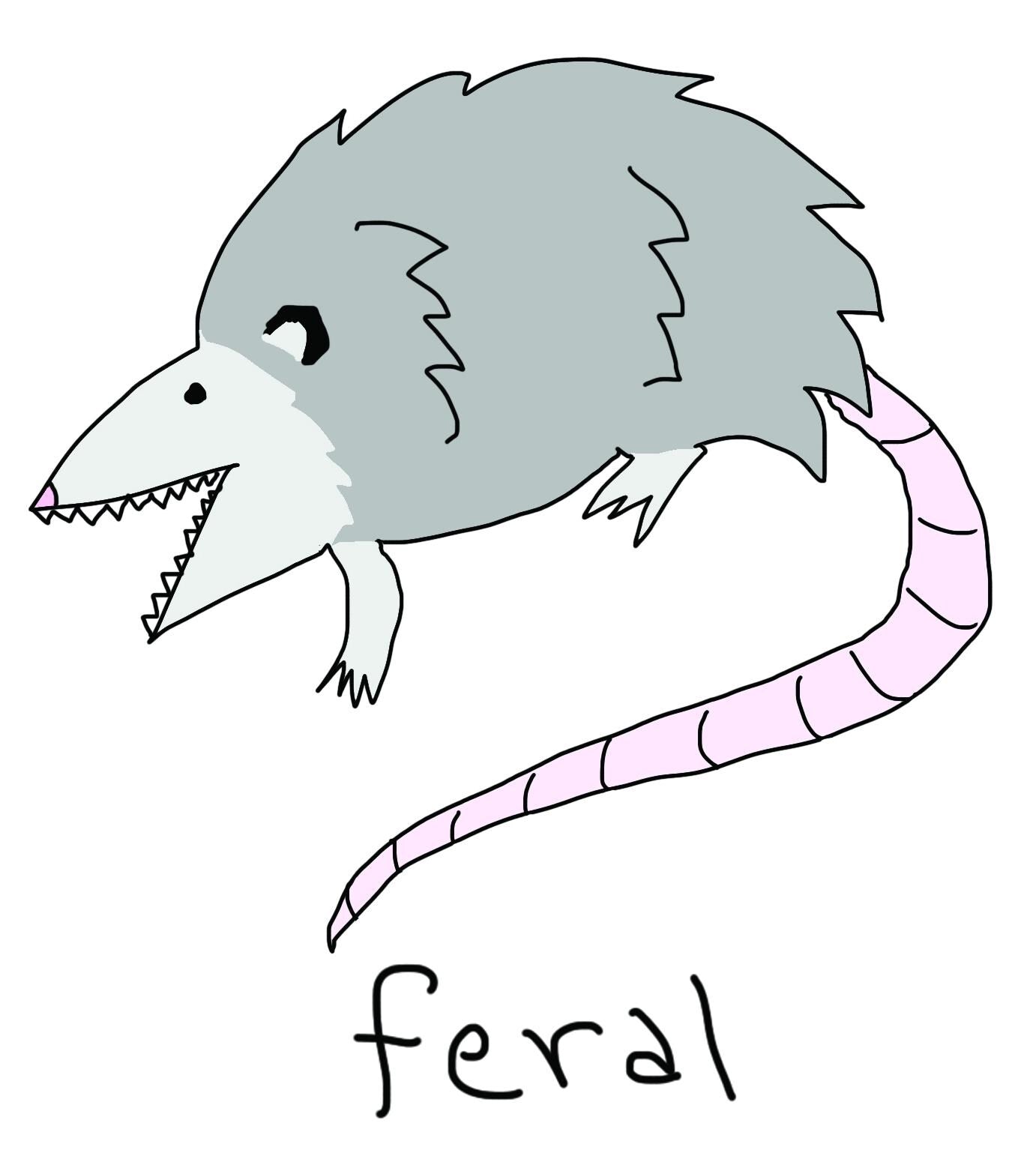 Feral Possum 1.25" Button