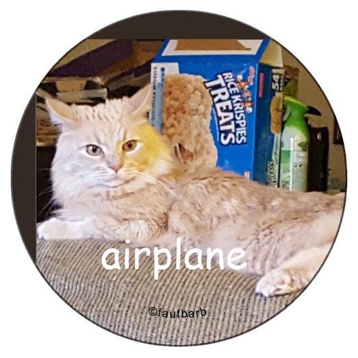 Airplane Cat Ears 1.25" Button