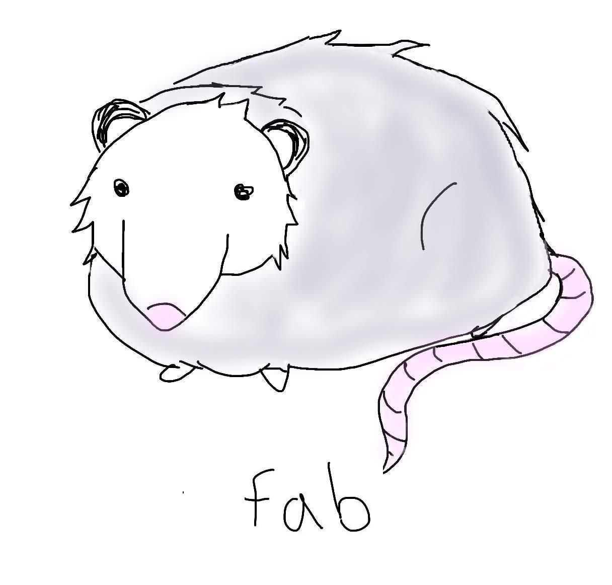 Fabulous Possum 1.25" Button