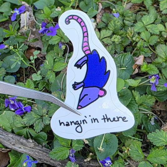 Hanging In There Possum Meme Vinyl Die-Cut Sticker