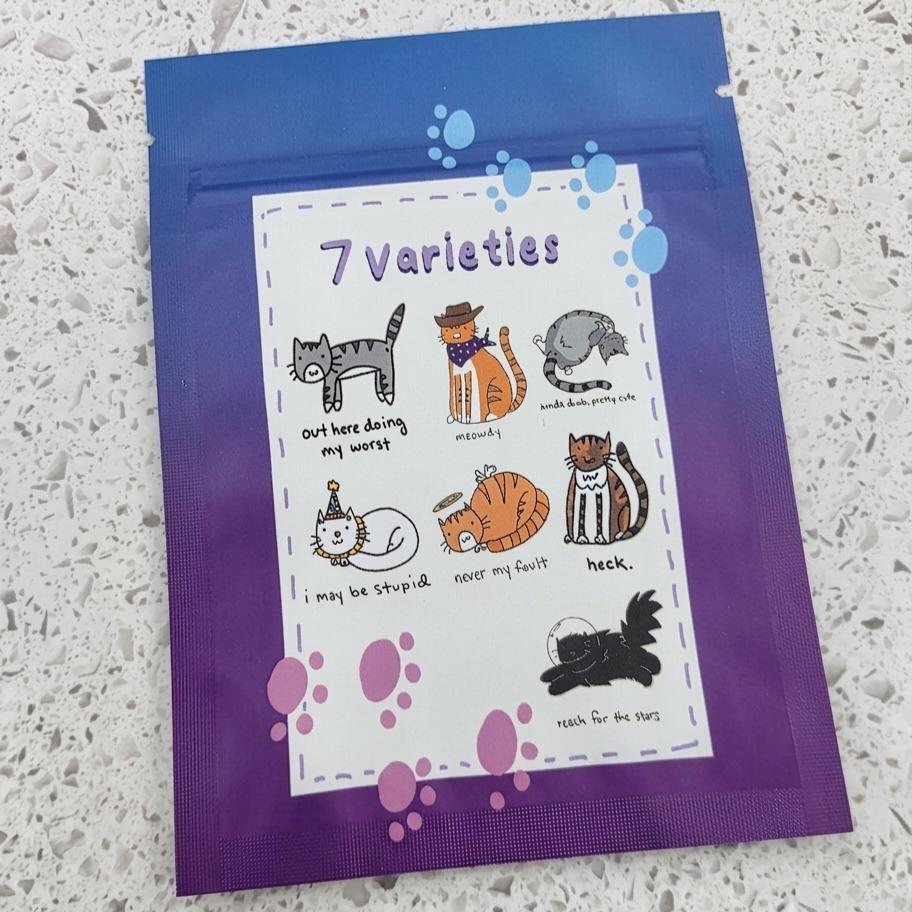 Mystery Keychain: Cat Series 1
