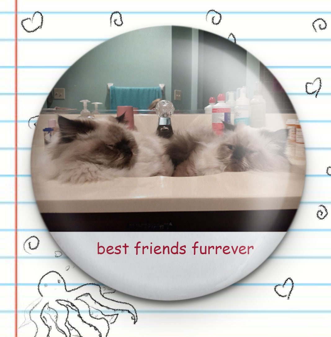 Best Friends Furrever Dumb Cat 1.25" Button