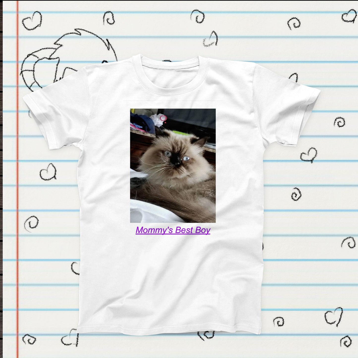 Best Boy Persian Cat Meme Novelty T-Shirt