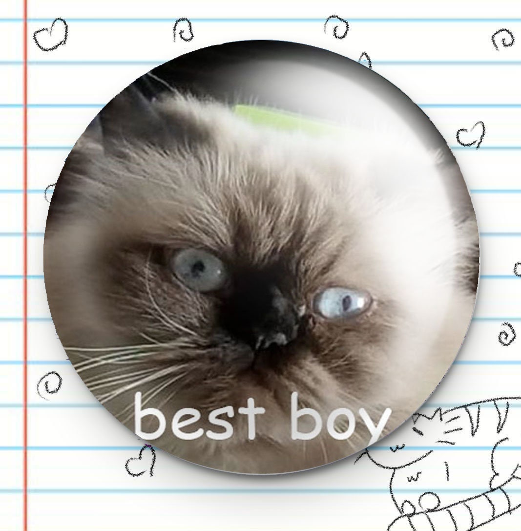 Best Boy Cat 1.25" Button